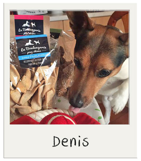 Denis et nos Torsades Biscuits bio pour chien